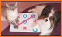 tic tac toe - dog and cat related image