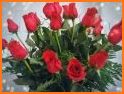 Ramos de Rosas Hermosas related image