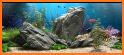 OCEAN AQUARIUM Live Wallpaper FREE related image