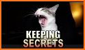 Talking Cat Run - Talking Kitty Kitten related image