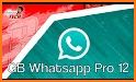 GB Wasahp Pro Plus V8 2021 related image