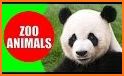 Kids Learning Animals: Animals for Kids related image