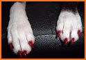 Puppy Nail Art Fashion Salon related image