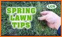 Lawn Care Guide related image