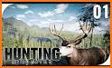 Wild Hunting Simulator 2017 related image