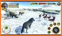 Virtual Arctic Wolf Family Sim related image