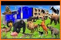 Zoo Animals Truck Transport: Zoo Animals Games related image