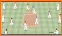 Hand Cricket Simplified!!! related image