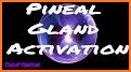 Pineal Gland Pro related image