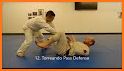 Brazilian Jiu Jitsu Blue Belt Requirements 2.0 related image