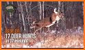 Wild Deer Hunt: Animal Hunting related image