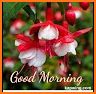 Good Morning Latest Status gif related image