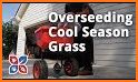 Cool 35 Lawn Care Tips related image