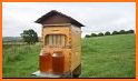 Honey Money: Idle Beehive Factory related image