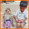 Funny Talking Monkey related image