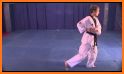 Mastering Taekwondo - Get Black Belt at Home related image