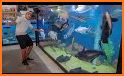 Amazing Aquariums In HD related image