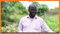 EzyAgric Farmer related image