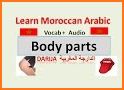 Learn morrocan dialect:daRija related image