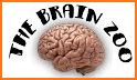 BrainZoo related image