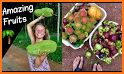 Farm Fruits Feast related image