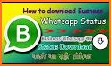 Story Saver For WhatsApp Business related image