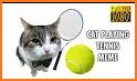 Cat Tennis Champion related image