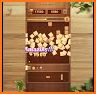 Wood Block Puzzle - Free Classic Brain Puzzle Game related image