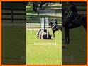 Horse Riding (Presented by: Ex related image