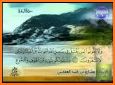 Mishary Rashid - Full Offline Quran MP3 related image