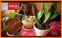 SmartPlant: Plant Care & Identification related image