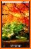 Beautiful Autumn Live Wallpaper related image