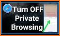 Plus VPN | Private Browsing related image