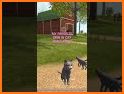 Pet Cat Simulator Games Family related image