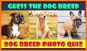 Quiz School | Dog breeds related image