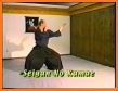 Sakauri Karate Basics related image