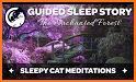 Meditation -- Sleep Music, Sleep Story related image