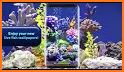 Fish Live Wallpaper 3D Aquarium Background HD :PRO related image