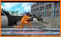 Police Dog: K9 Simulator Game 2017 related image