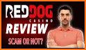 Red Dog Casino Mobile Game related image