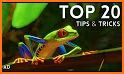 Planet Zoo Sandbox Tips related image