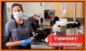 Gruda Veterinary Hospital related image