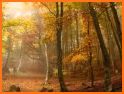 Autumn Scenery Keyboard Theme related image