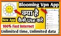 Blooming VPN related image