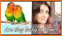 Lucky Birds related image