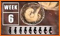 Pregnancy Stages Week by Week Guide related image