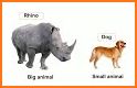 Largest or Smallest Animal related image