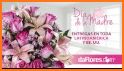 Flores para las madres related image