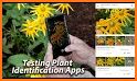 FindPlant - New Plant identification related image