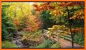 Sunny Autumn Fall Theme related image